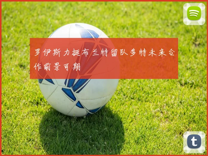 罗伊斯力挺布兰特留队多特未来合作前景可期