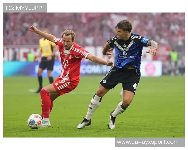 顶级俱乐部纷纷关注汉堡中卫武什科维奇拜仁在列